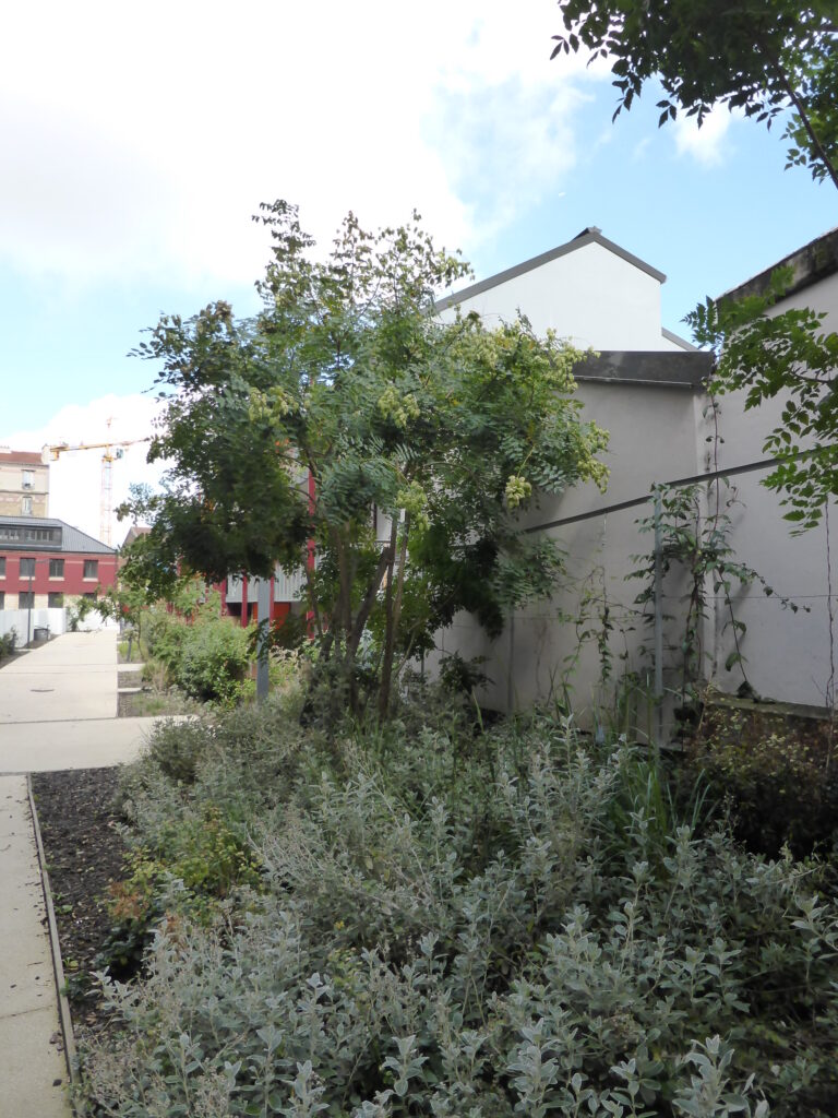 Atelier Alice Tricon / Jardins / Paysages - Les Céramiques<br>opération immobilière - Montreuil (93) - 09 15 004