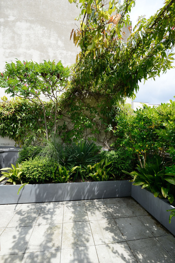 Atelier Alice Tricon / Jardins / Paysages - Passage Soupirs<br>Jardin privé - Paris (75020) - la terrasse du second étage