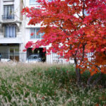 Atelier Alice Tricon / Jardins / Paysages - Les Céramiquesopération immobilière