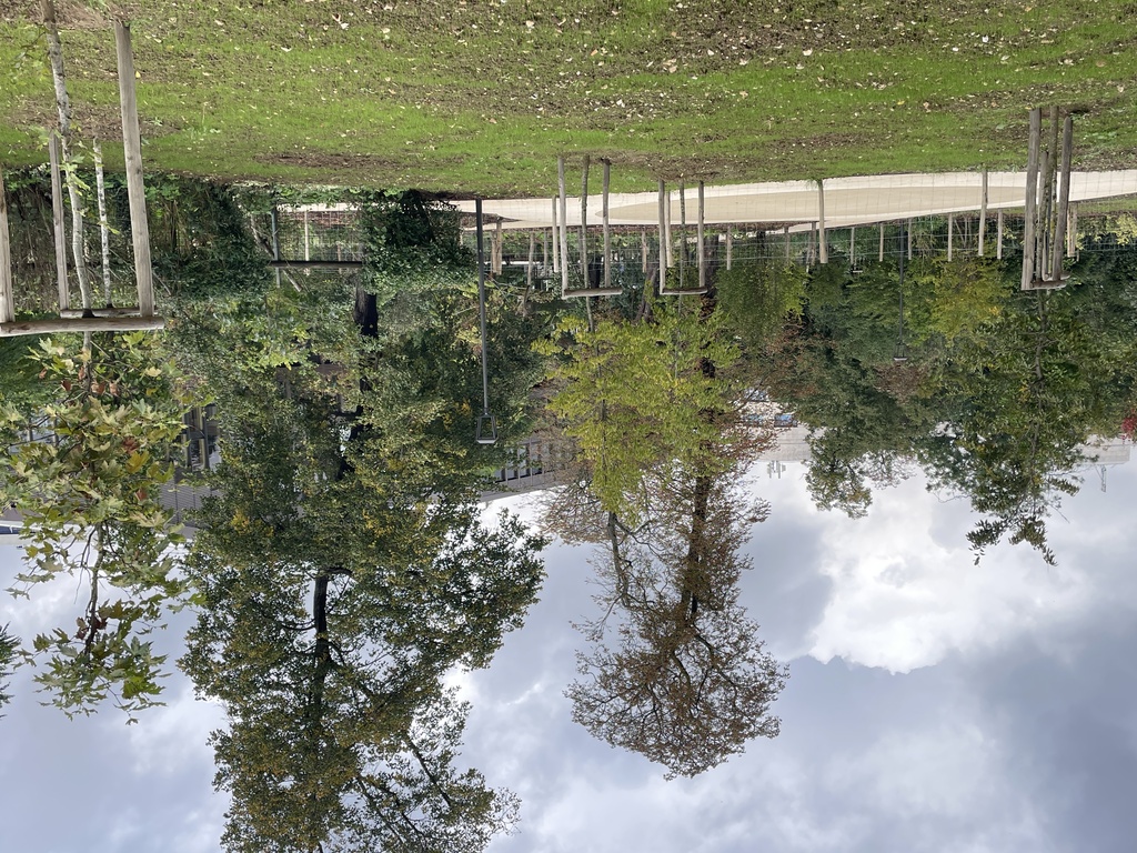 Atelier Alice Tricon / Jardins / Paysages - Le Petit Bois, EnvA <br> Parc historique classé - Maison-Alfort (94) - ENVA-la strate arboree existante et plantee-Atelier Alice Tricon