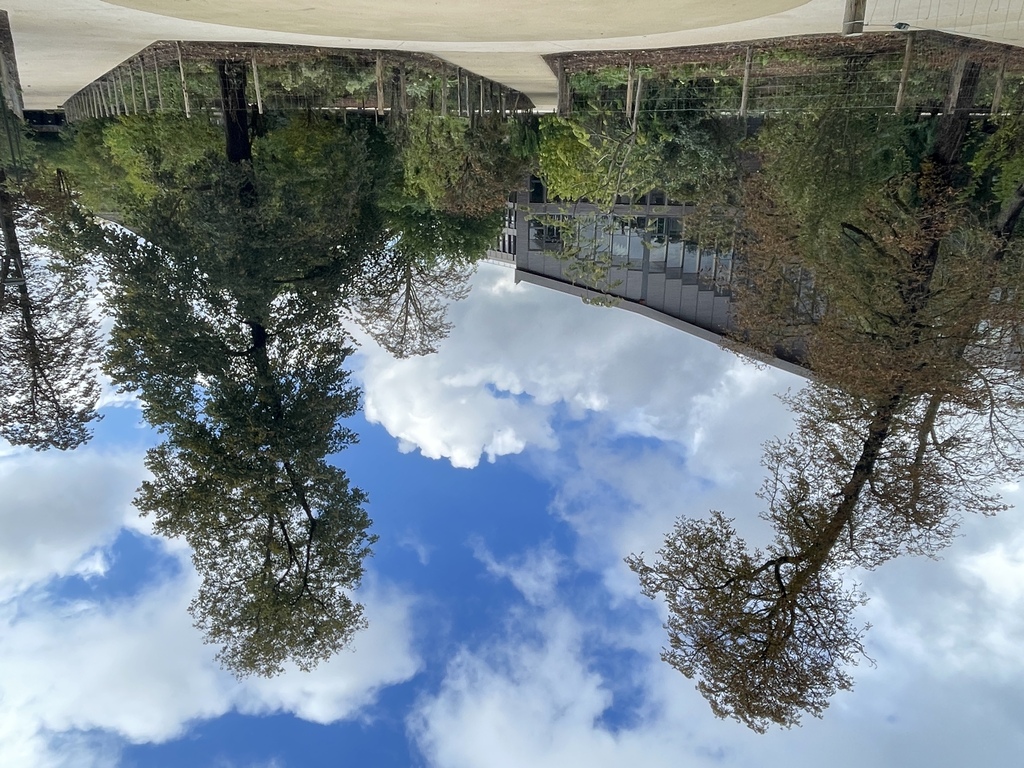 Atelier Alice Tricon / Jardins / Paysages - Le Petit Bois, EnvA <br> Parc historique classé - Maison-Alfort (94) - ENVA-les allees principales depuis la place centrale-Atelier Alice Tricon