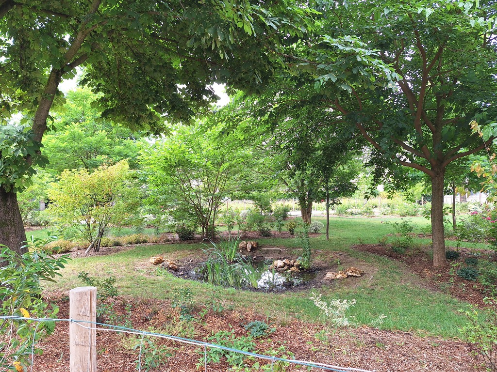 Atelier Alice Tricon / Jardins / Paysages - Le Petit Bois, EnvA <br> Parc historique classé - Maison-Alfort (94) - ENVA-mare dans son ecrin de verdure-Atelier Alice Tricon