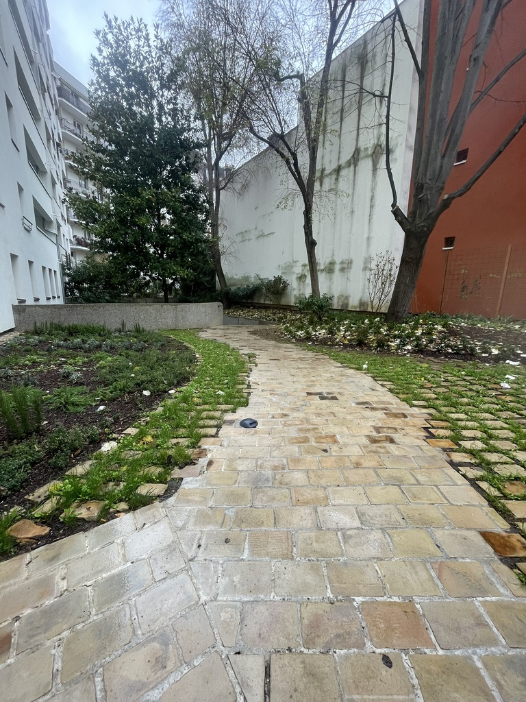 Atelier Alice Tricon / Jardins / Paysages - cour-jardin résidentielle<br> - RIVP Paris 75014 - RIVP Vercingetorix-Atelier Alice Tricon