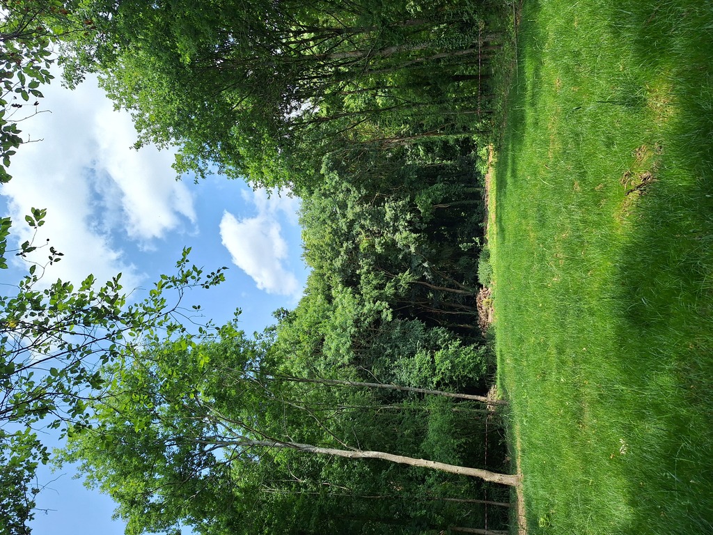 Atelier Alice Tricon / Jardins / Paysages - ROUTE DE JARCY - ETIOLLES (91) - Etiolles-prairie en cours de formation-Atelier Alice Tricon