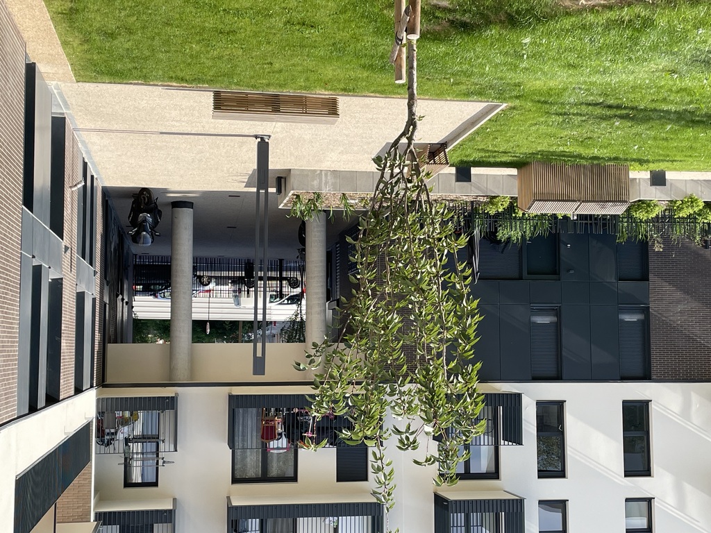 Atelier Alice Tricon / Jardins / Paysages - O’MATHURINS<br> 2 opérations immobilières - Colline des Mathurins, Bagneux (92) - OMathurins-D1 parvis-Atelier Alice Tricon