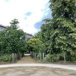 Atelier Alice Tricon / Jardins / Paysages - Le Petit Bois, EnvA  Parc historique classé