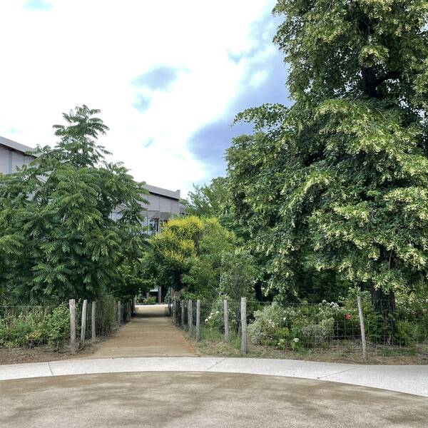 Atelier Alice Tricon / Jardins / Paysages - Le Petit Bois, EnvA  Parc historique classé - Maison-Alfort (94)