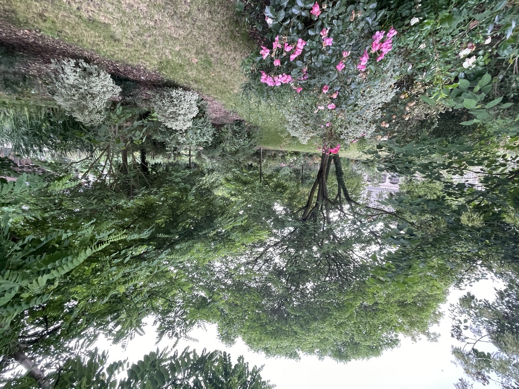 Atelier Alice Tricon / Jardins / Paysages - Le Petit Bois, EnvA <br> Parc historique classé - Maison-Alfort (94) - ENVA-chambre de verdure-Atelier Alice Tricon