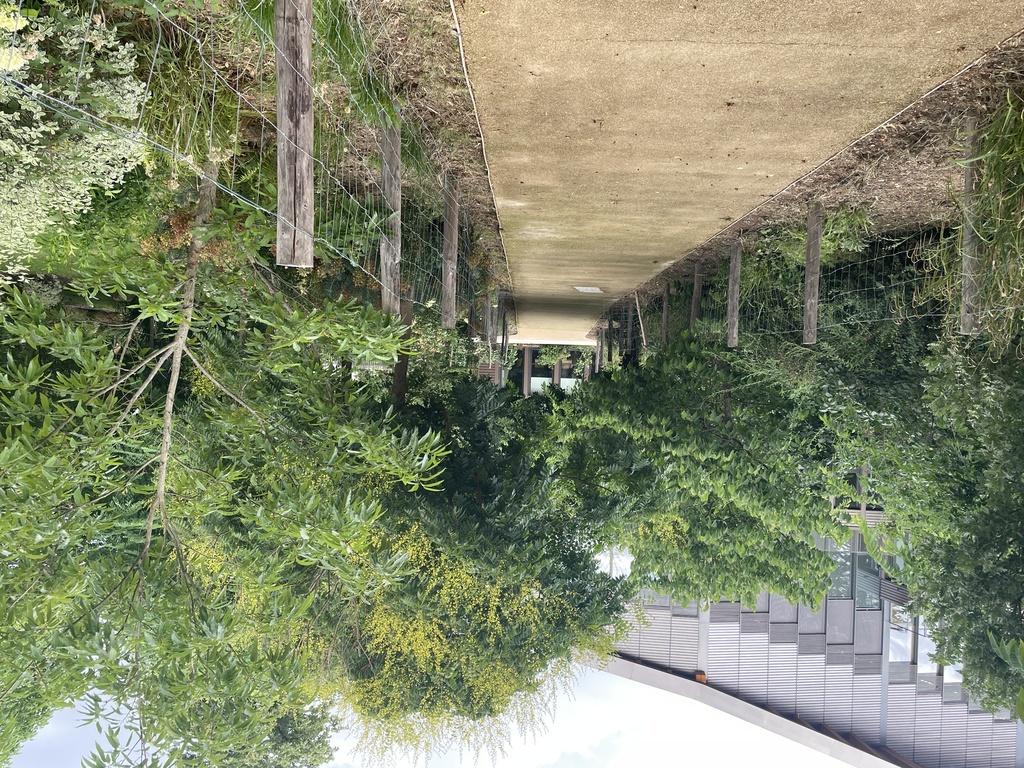 Atelier Alice Tricon / Jardins / Paysages - Le Petit Bois, EnvA <br> Parc historique classé - Maison-Alfort (94) - ENVA-allee centrale-Atelier Alice Tricon