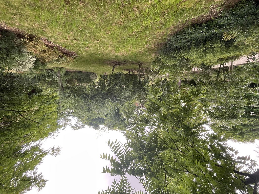 Atelier Alice Tricon / Jardins / Paysages - Le Petit Bois, EnvA <br> Parc historique classé - Maison-Alfort (94) - ENVA-chambre de verdure-Atelier Alice Tricon