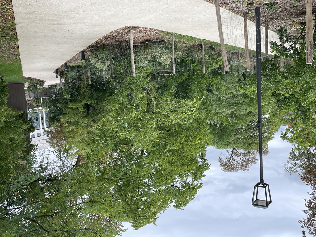 Atelier Alice Tricon / Jardins / Paysages - Le Petit Bois, EnvA <br> Parc historique classé - Maison-Alfort (94) - ENVA-allee de bordure-Atelier Alice Tricon